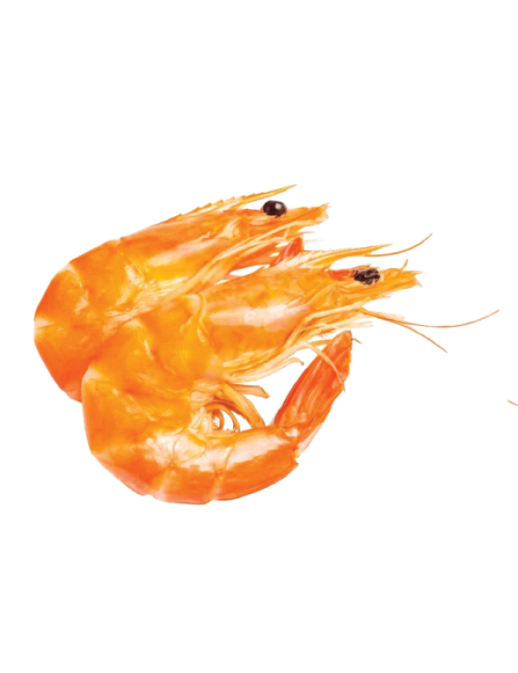 Vannamei Shrimp Cooked HOSO