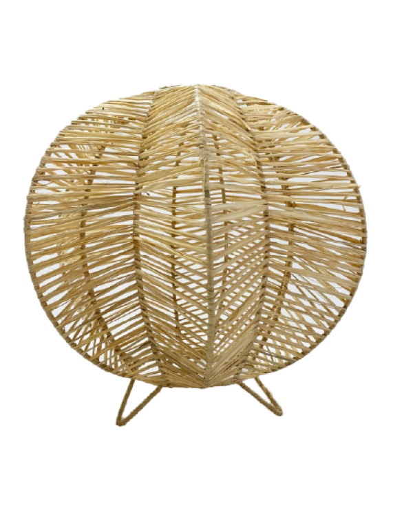 Star Raffia Palm Table, Floor Lamp Home Decor