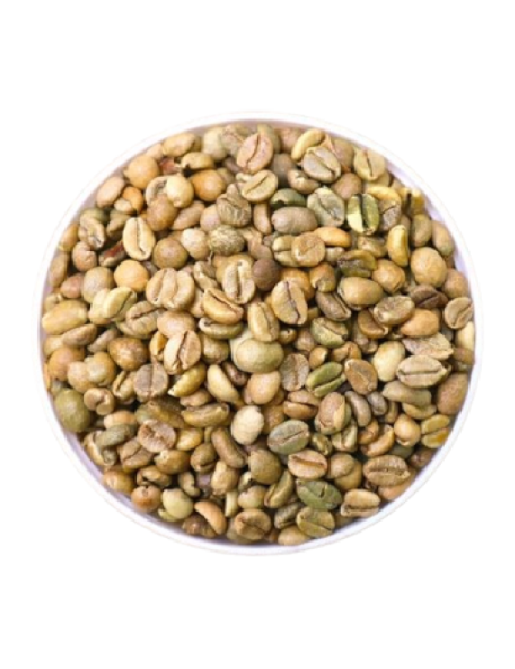 Robusta Clean S16 S18 (Grade 1)