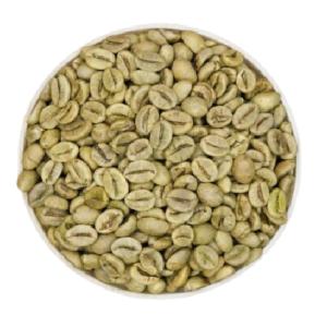 Vietnam Robusta Wet Polished (Grade 1) SCR18