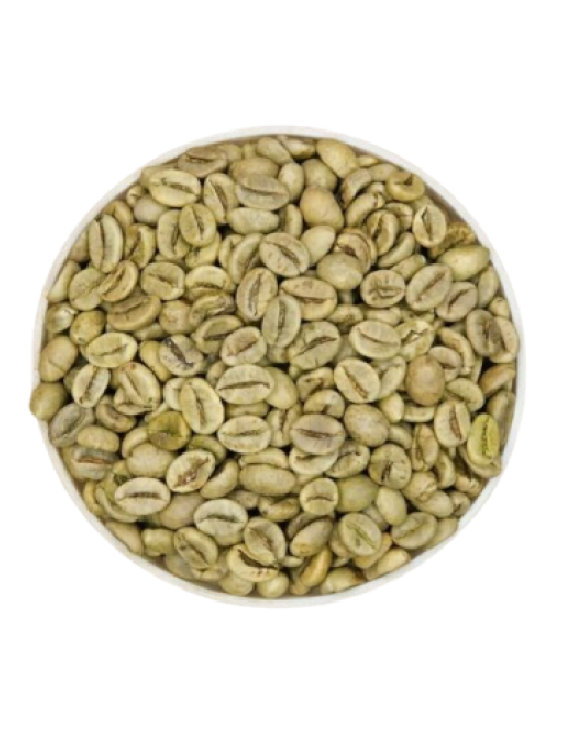 Vietnam Robusta Wet Polished (Grade 1) SCR18