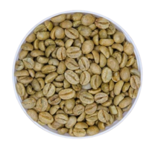 Robusta Natural Fermented Anaerobic - Fine Robusta (84.5 Points by CQI)