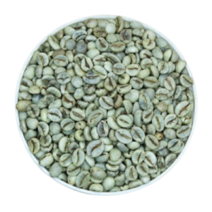 Robusta S16 S18 Wet Polished (Grade 1) Blue Dragon Beans