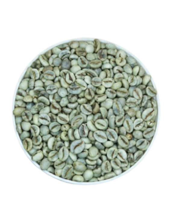 Robusta S16 S18 Wet Polished (Grade 1) Blue Dragon Beans
