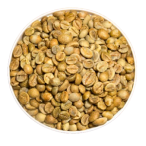 Robusta Yellow Honey Processed Coffee Beans – Daklak origin – S18, S16