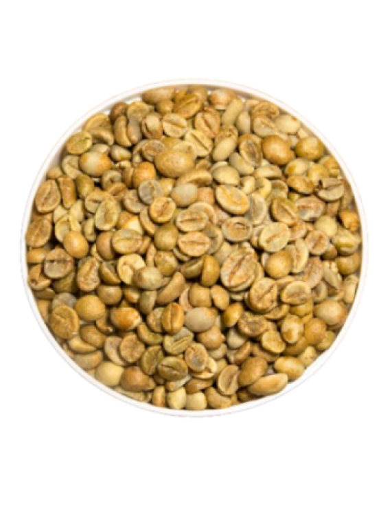 Robusta Yellow Honey Processed Coffee Beans – Daklak origin – S18, S16