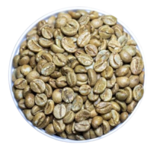 Vietnam Robusta Honey Processed Coffee (SCR18, SCR16)
