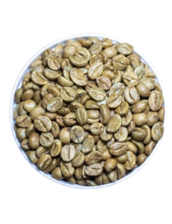 Vietnam Robusta Honey Processed Coffee (SCR18, SCR16)