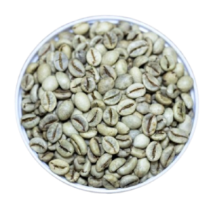 Vietnam Wet Polished Robusta Green Coffee Beans (S18, S16) – Grade 1