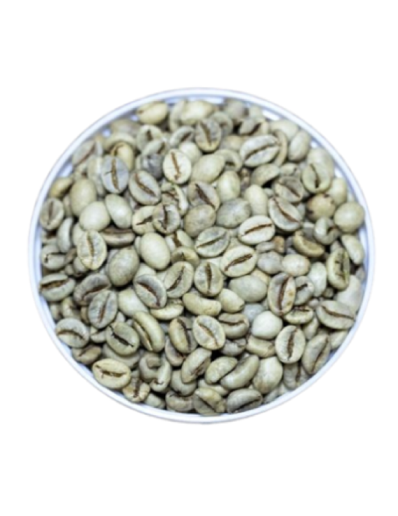 Vietnam Wet Polished Robusta Green Coffee Beans (S18, S16) – Grade 1