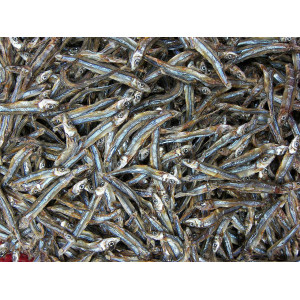 Dried Boiled Gray Anchovy Fillet