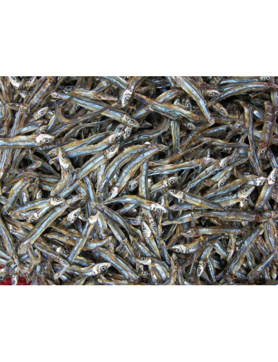Dried Boiled Gray Anchovy Fillet