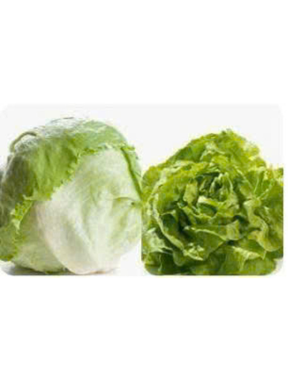 Lettuce