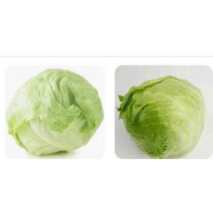 Lettuce
