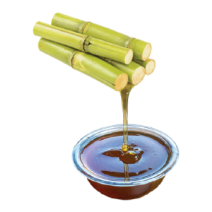 Sugarcane Concentrate