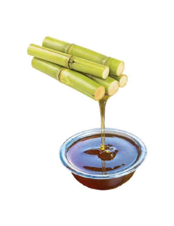 Sugarcane Concentrate
