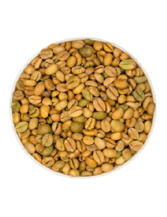 Excelsa Coffee Grade 1 Screen 16 Cleaned