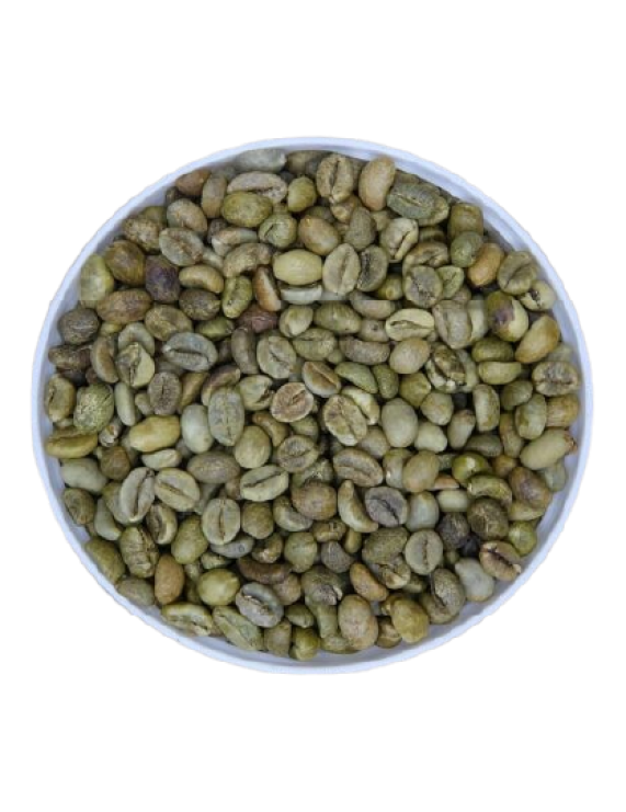 Robusta Coffee Grade 1 Screen 16 Cleaned (0.5%BB)