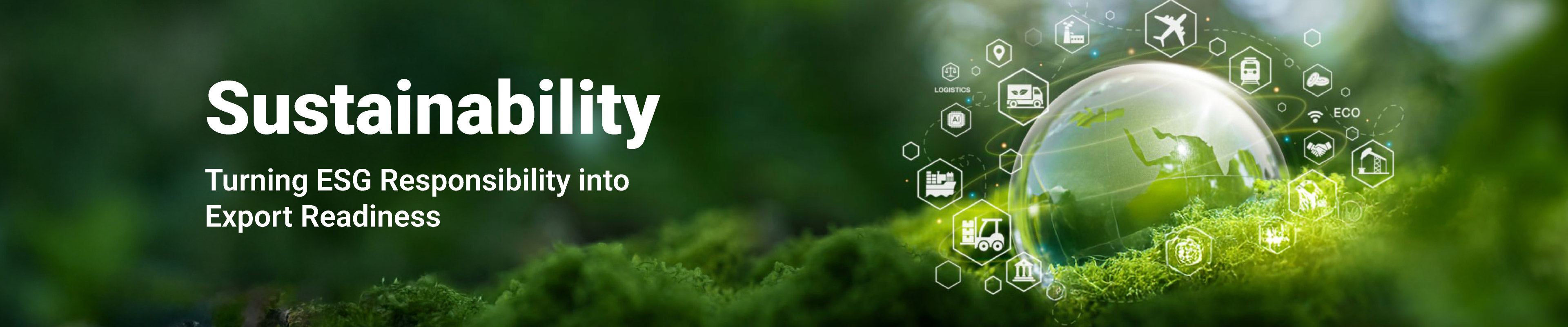 Sustainability